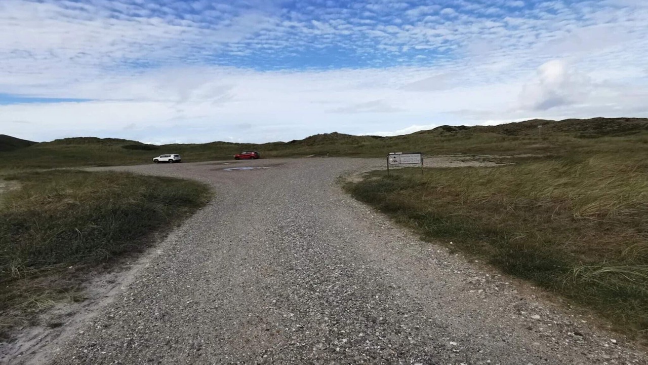 Photo of Others in Vedersø Klit