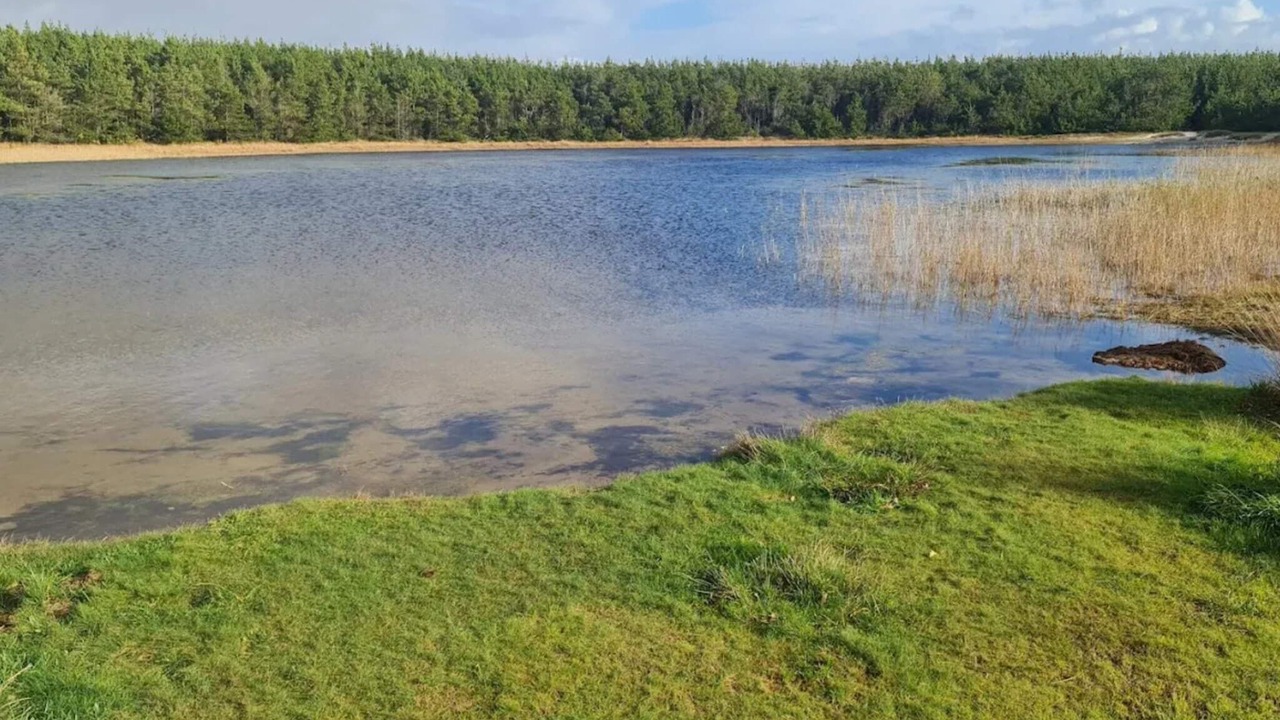 Photo of Others in Vedersø Klit