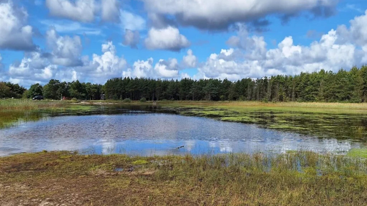 Photo of Others in Vedersø Klit