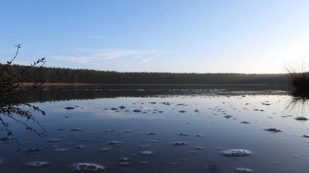 Photo of Others in Vedersø Klit