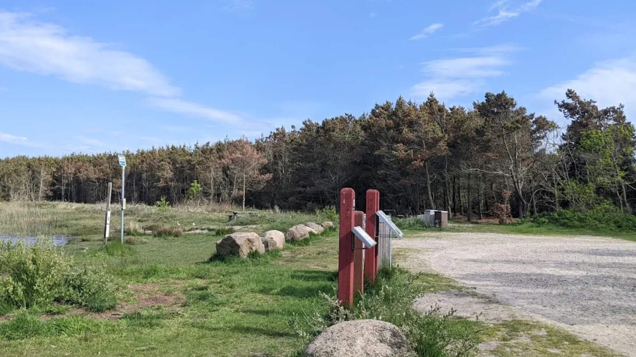 Photo of Others in Vedersø Klit