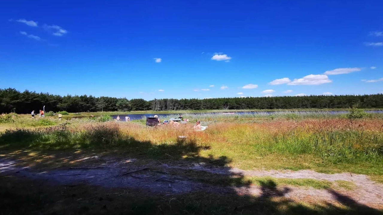Photo of Others in Vedersø Klit