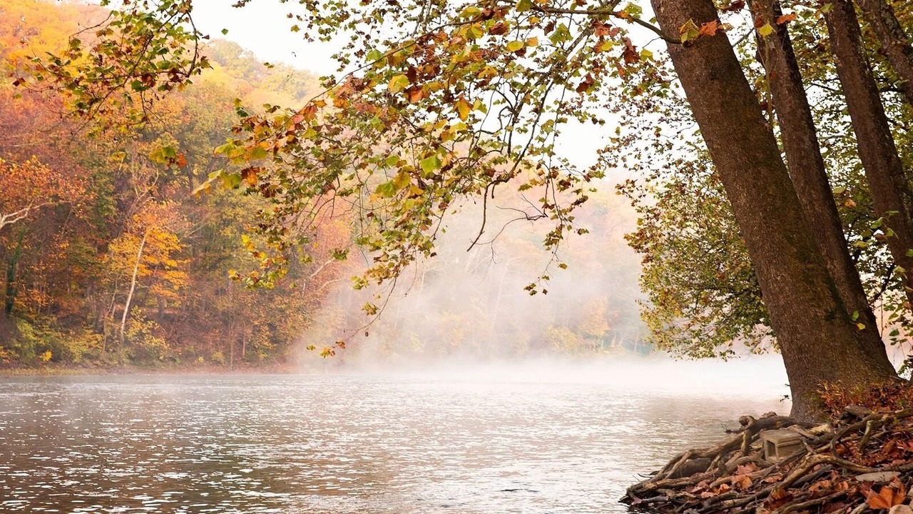 Photo of Others in Luray