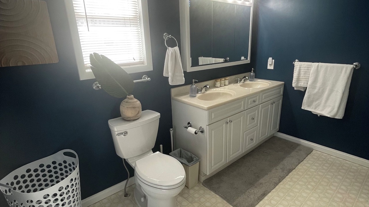 Photo of Bathroom in White Pigeon