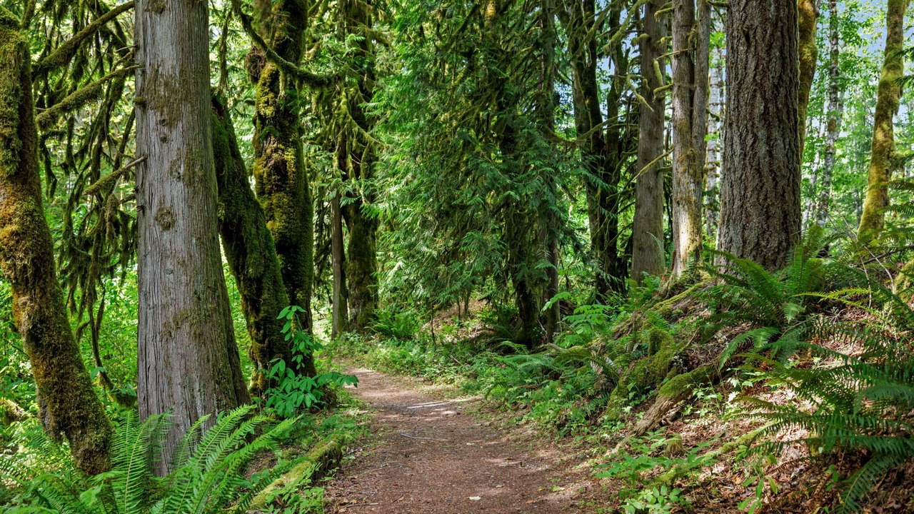 Photo of Others in Skykomish
