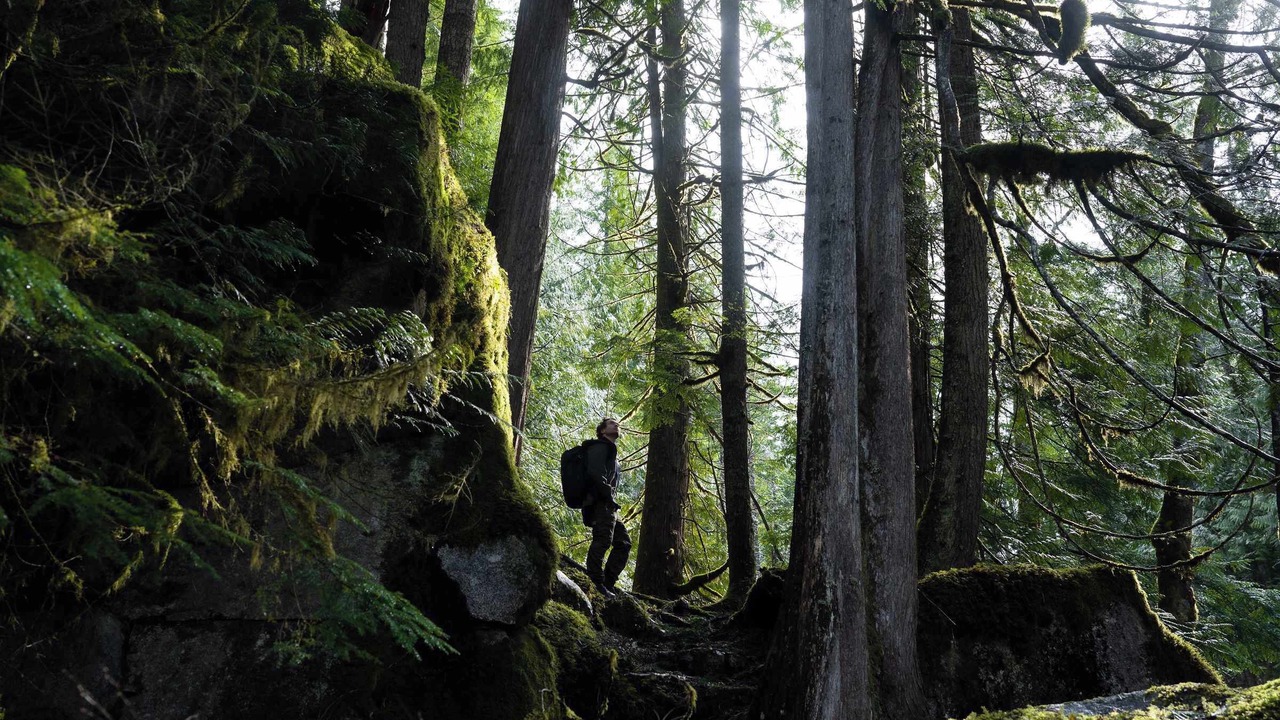 Photo of Others in Skykomish