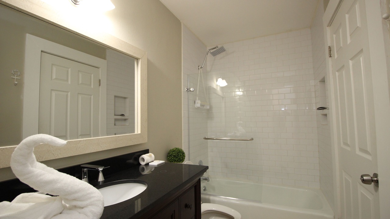 Photo of Bathroom in North Austin Civic Association