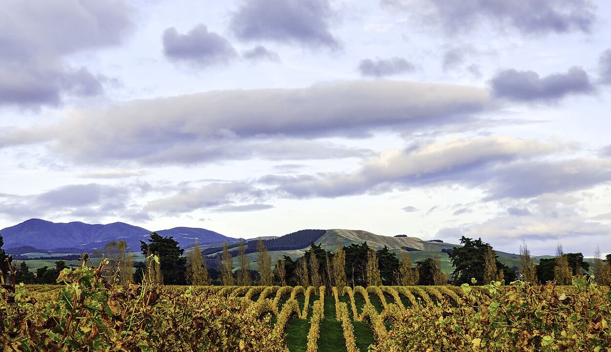 Photo of Others in Dyerville