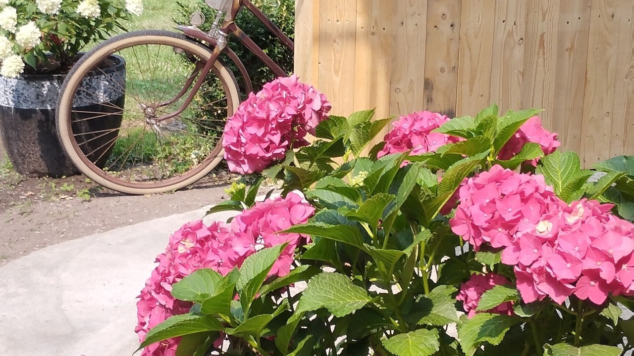 Photo of Outdoor in Ohnenheim