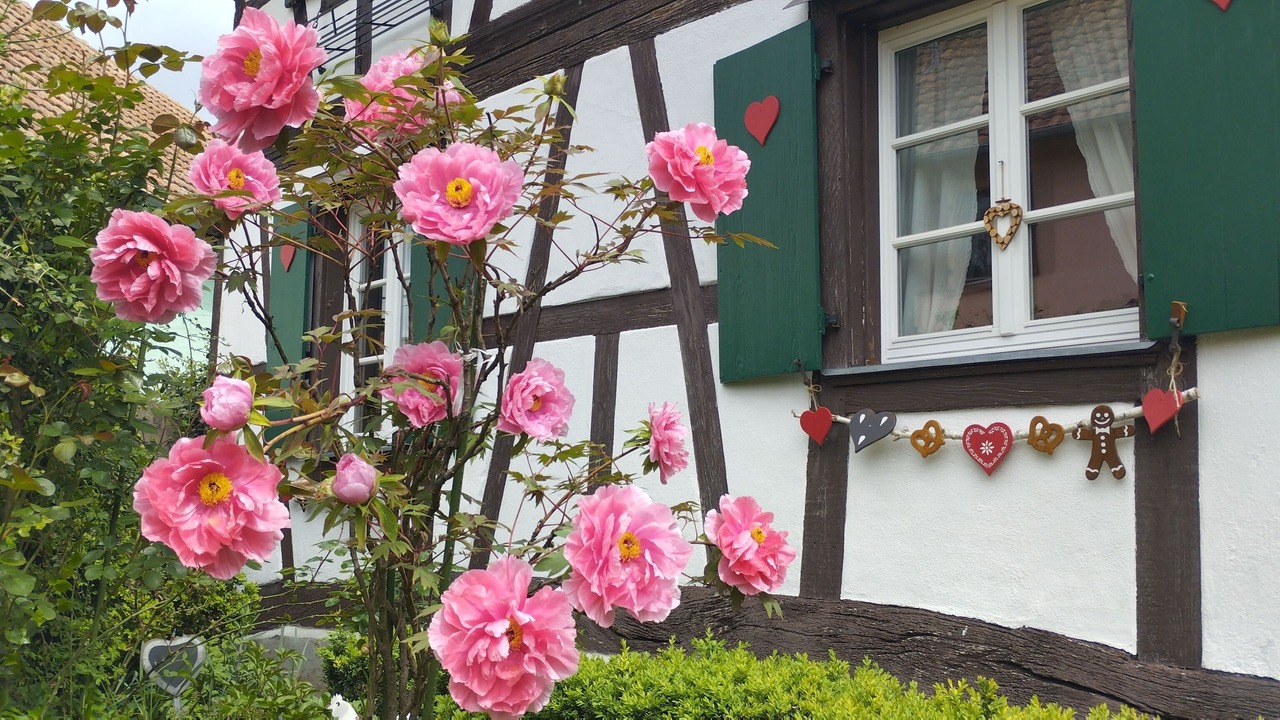 Photo of Outdoor in Ohnenheim