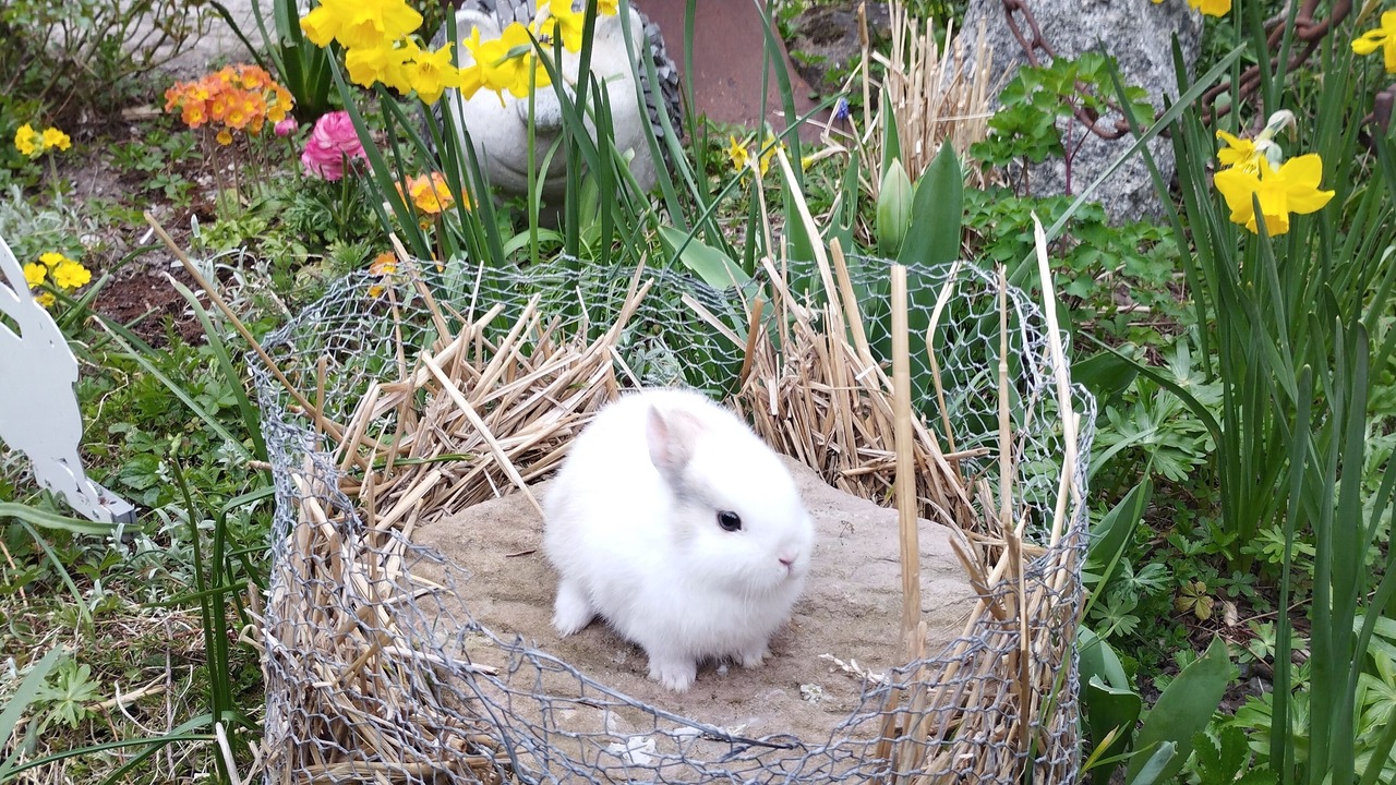 Photo of Outdoor in Ohnenheim