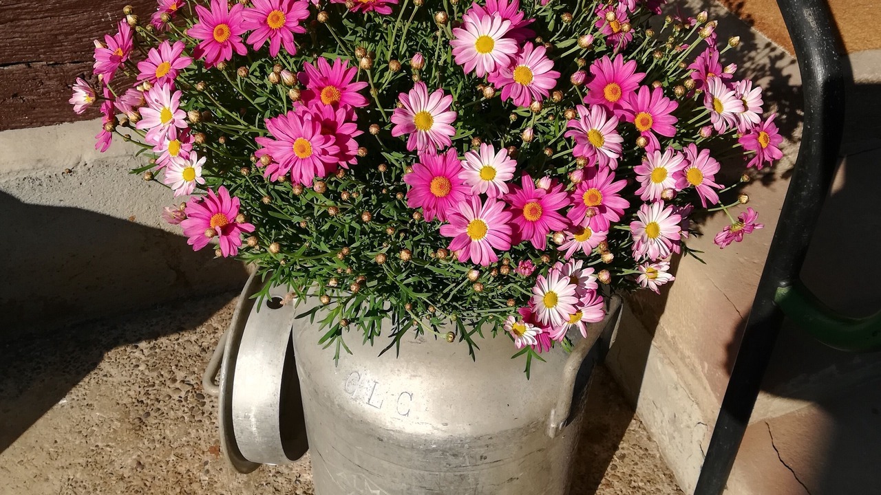 Photo of Outdoor in Ohnenheim