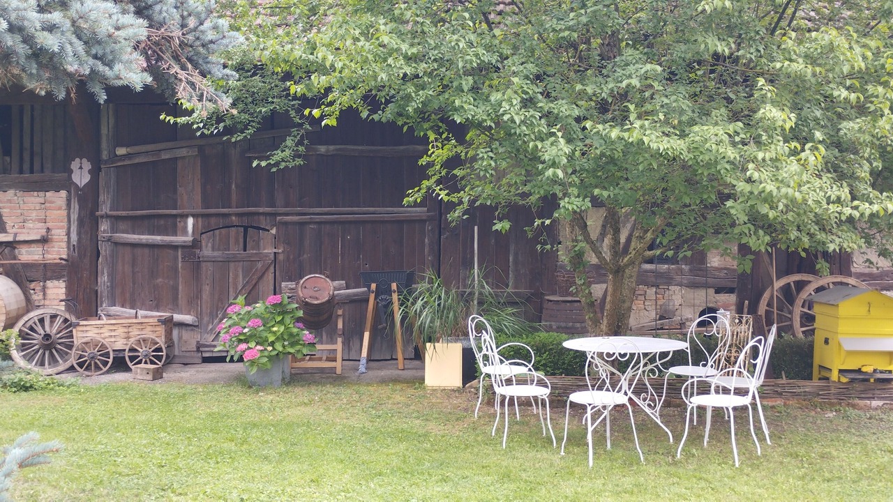 Photo of Outdoor in Ohnenheim