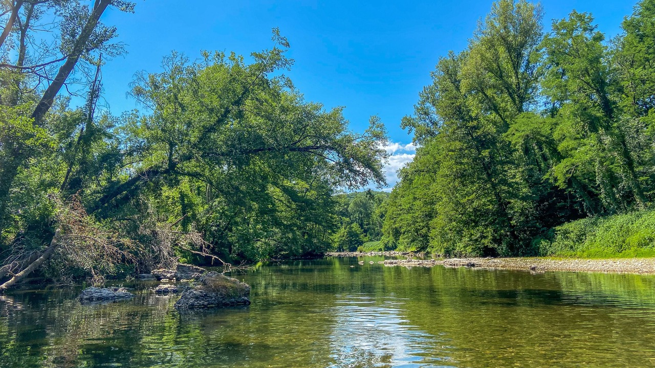 Photo of Others in Meyrannes