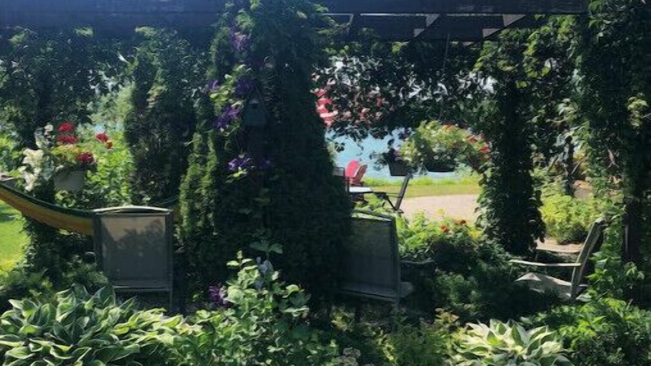 Photo of Outdoor in Petoskey