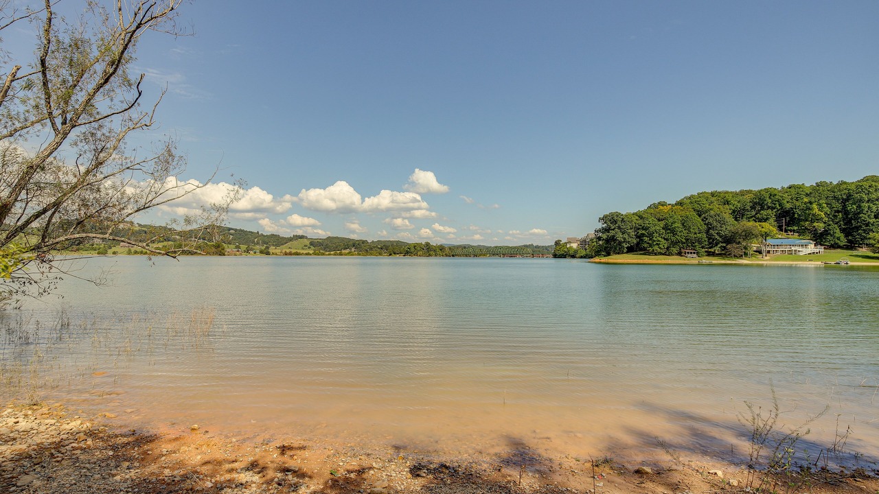 Photo of Others in Bean Station