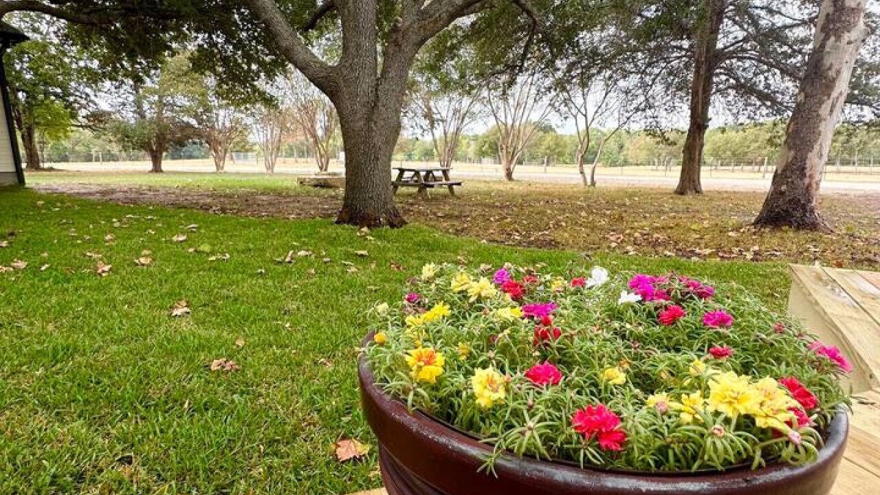 Photo of Outdoor in Bryan