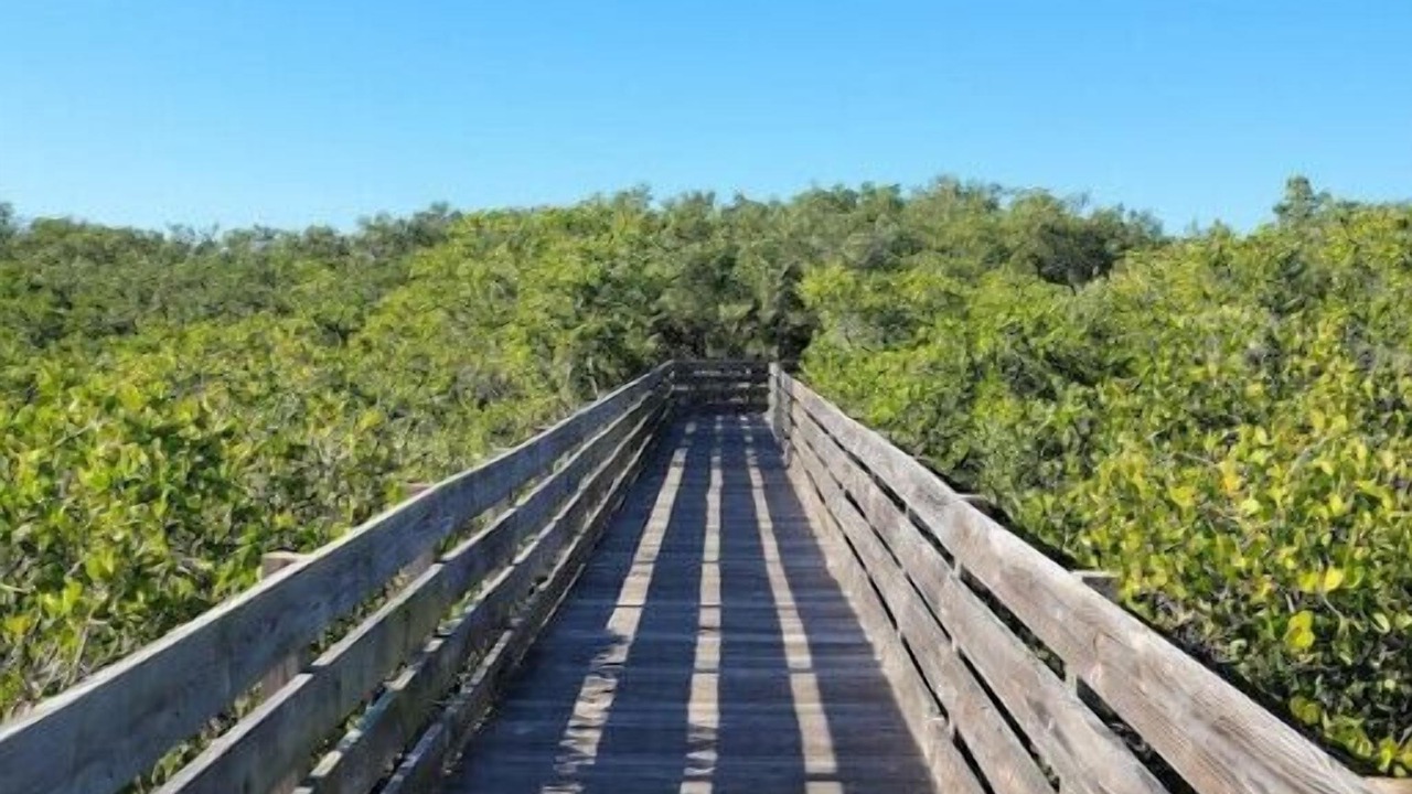 Photo of Outdoor in Bayonet Point