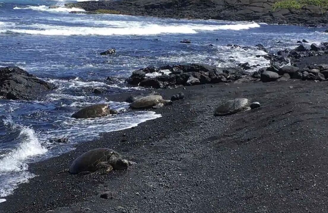 Photo of Others in Papa