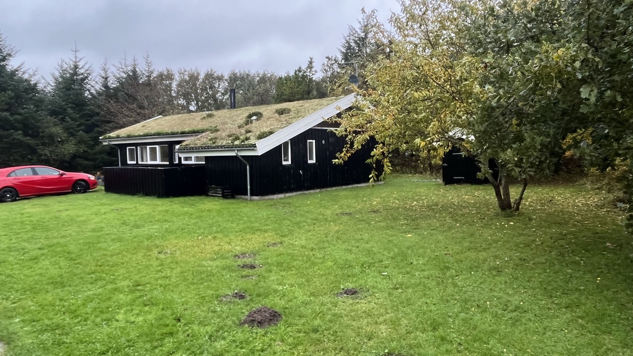 Photo of Outdoor in Blokhus