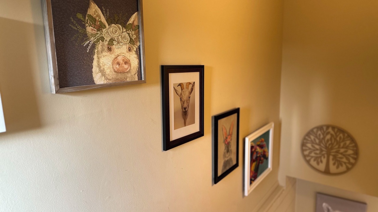 Photo of Others in Roaring Gap