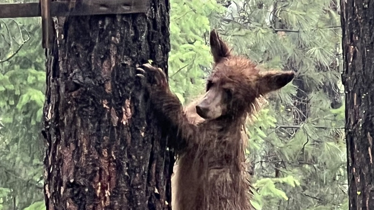 Photo of Outdoor in Evans