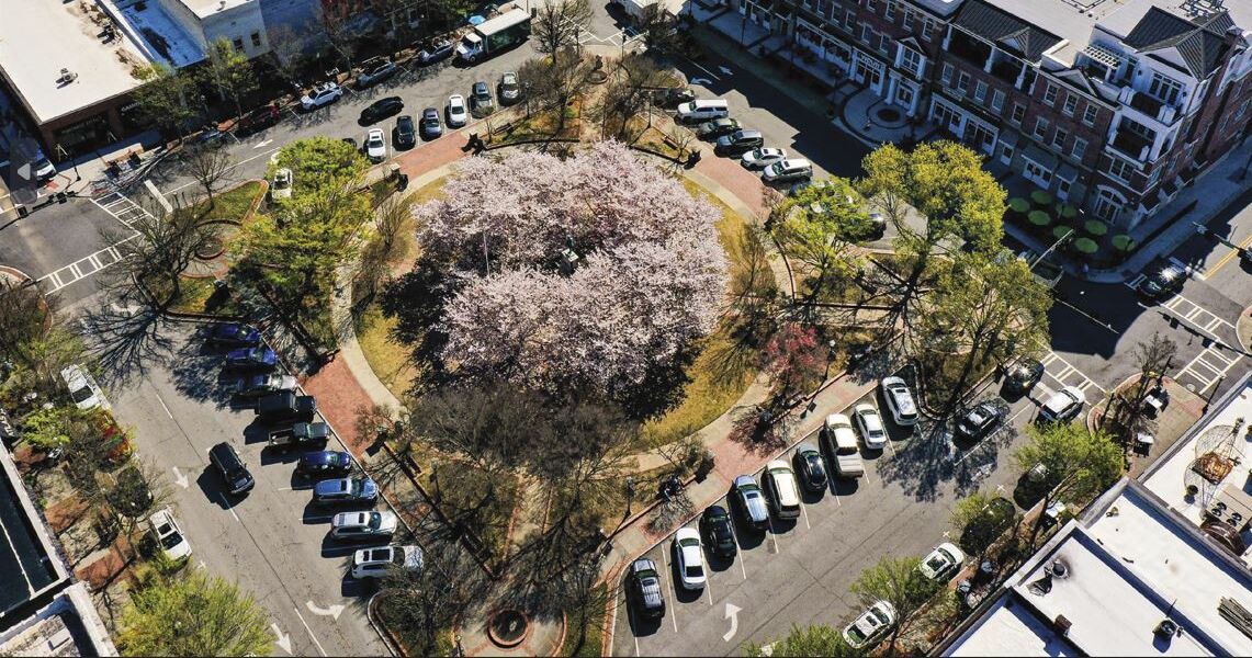 Photo of Outdoor in Gainesville