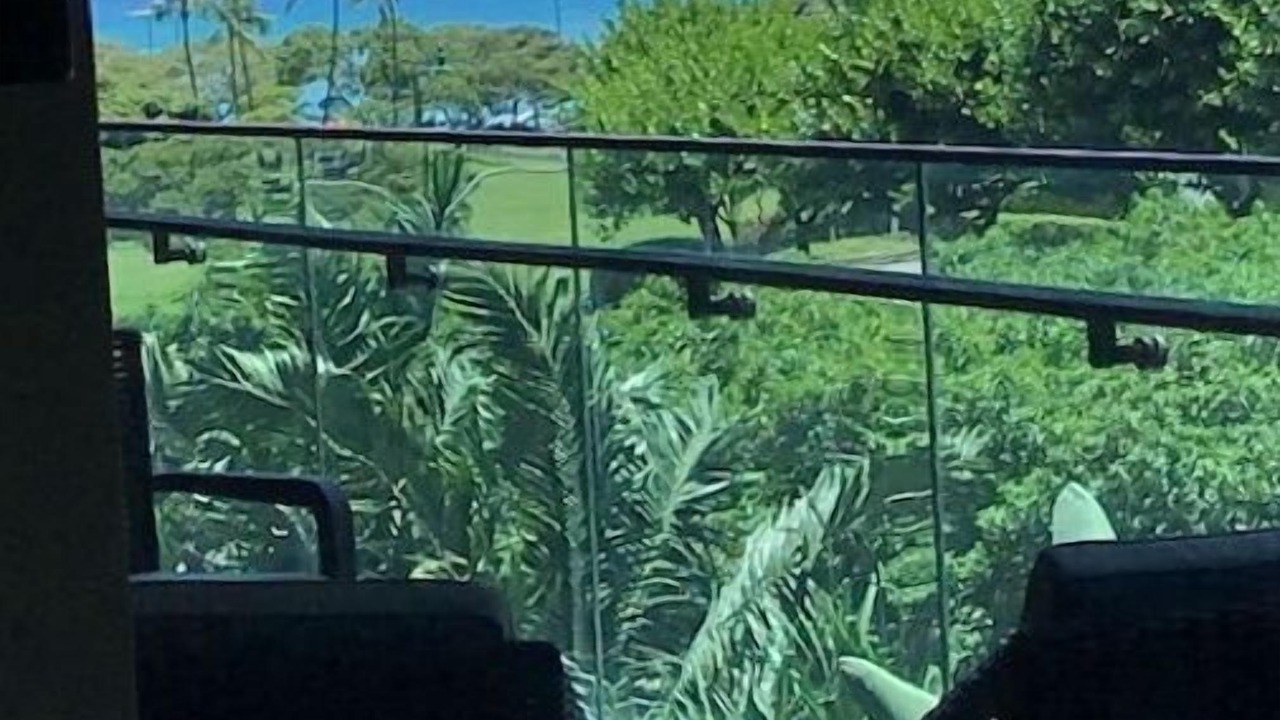 Photo of Outdoor in Ala Moana