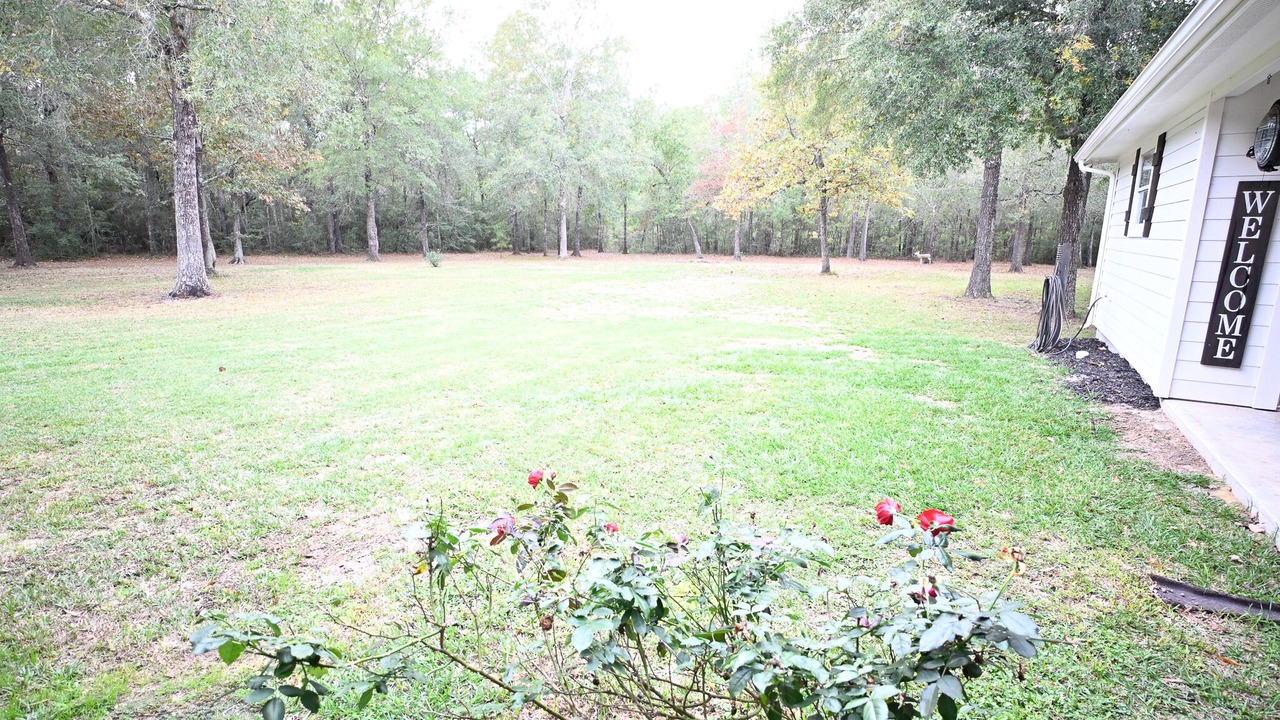 Photo of Outdoor in Wallisville