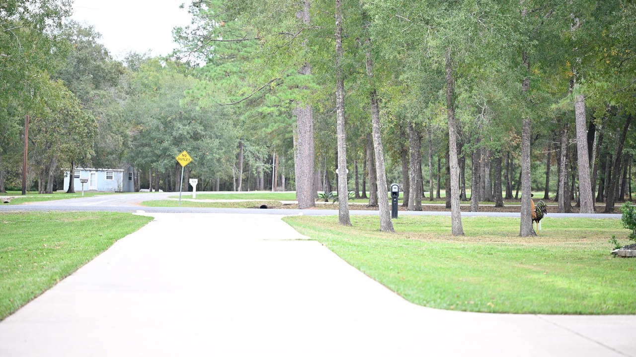 Photo of Others in Wallisville