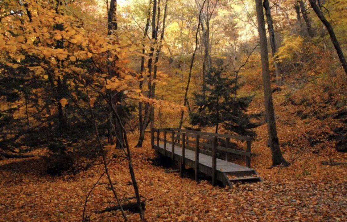 Photo of Outdoor in Oglesby