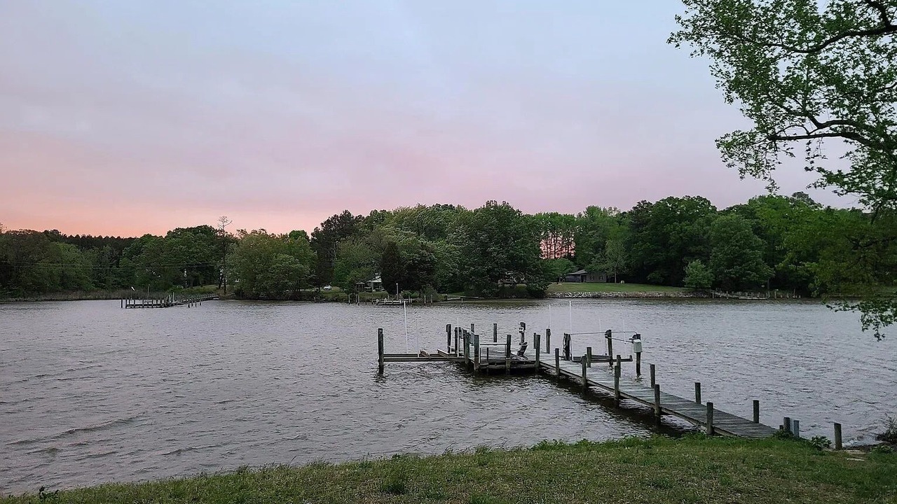 Photo of Others in Hague