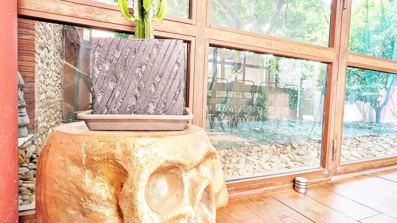 Photo of Outdoor in Pia