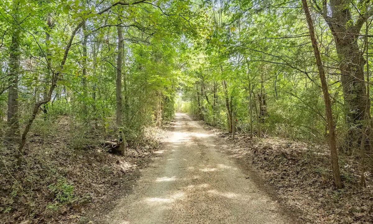 Photo of Outdoor in Red Oak