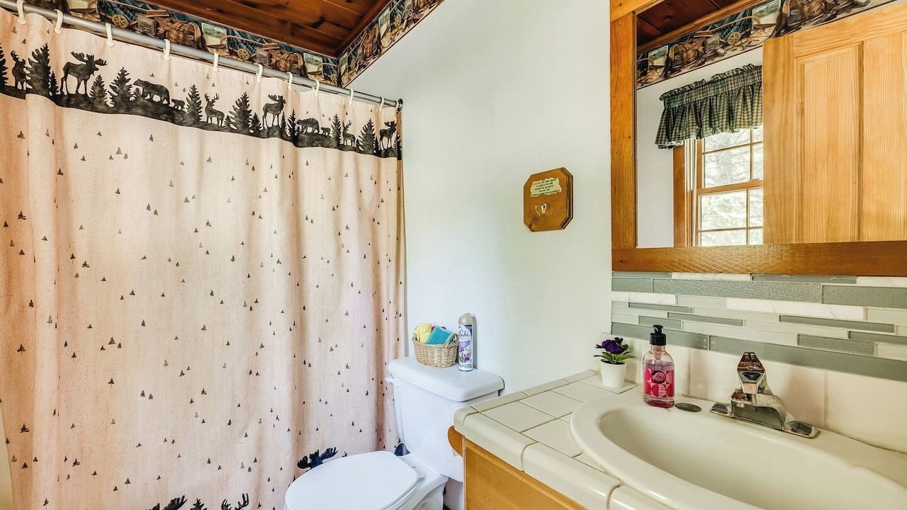 Photo of Bathroom in Taylors Falls