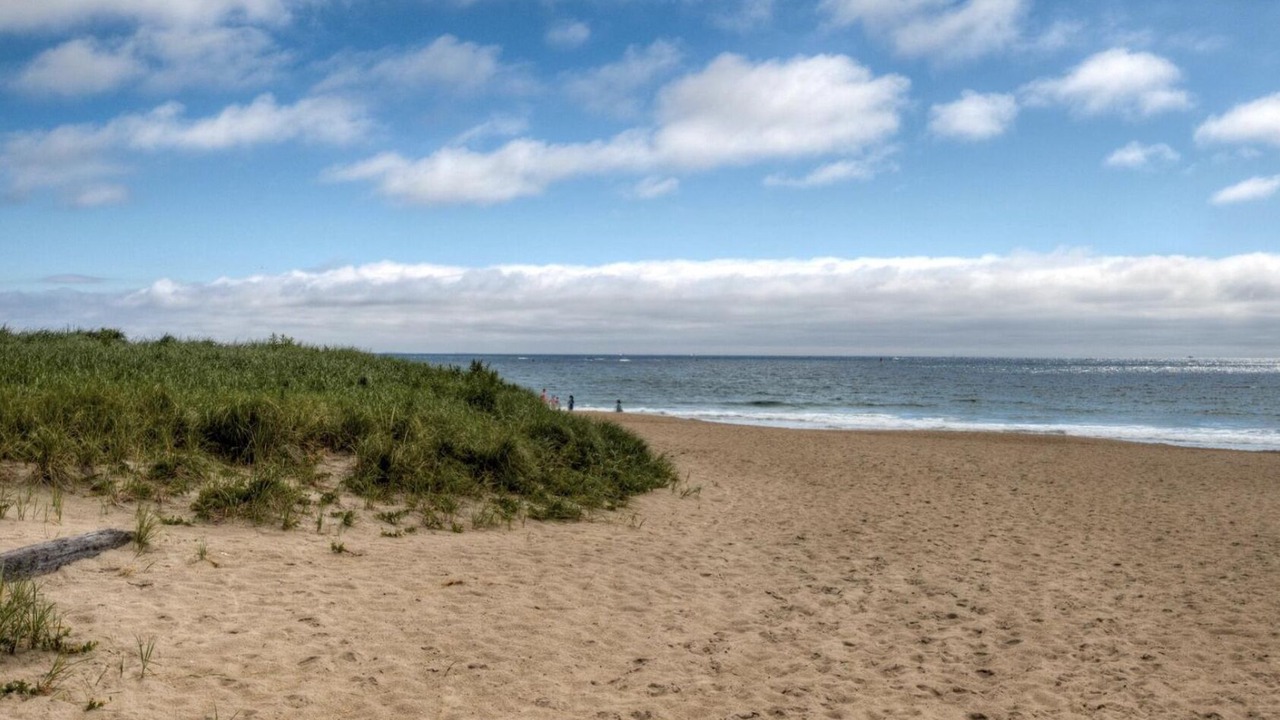 Photo of Others in Seabrook