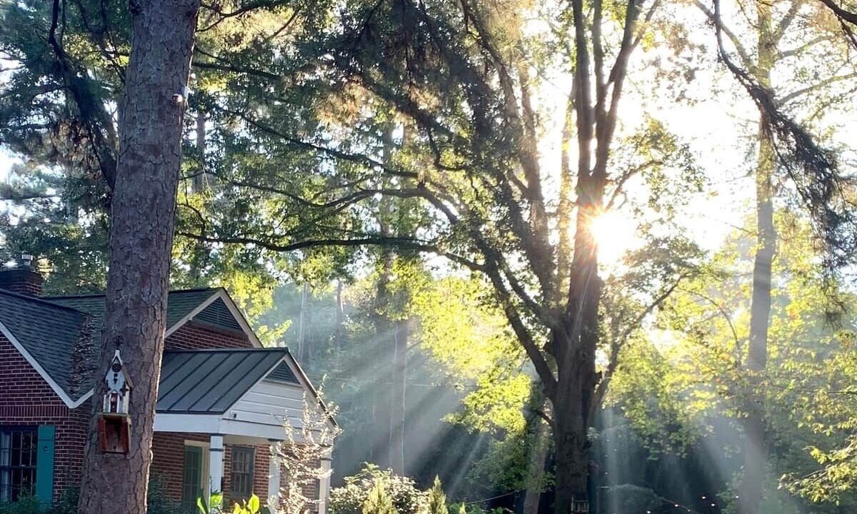Photo of Outdoor in Atlanta