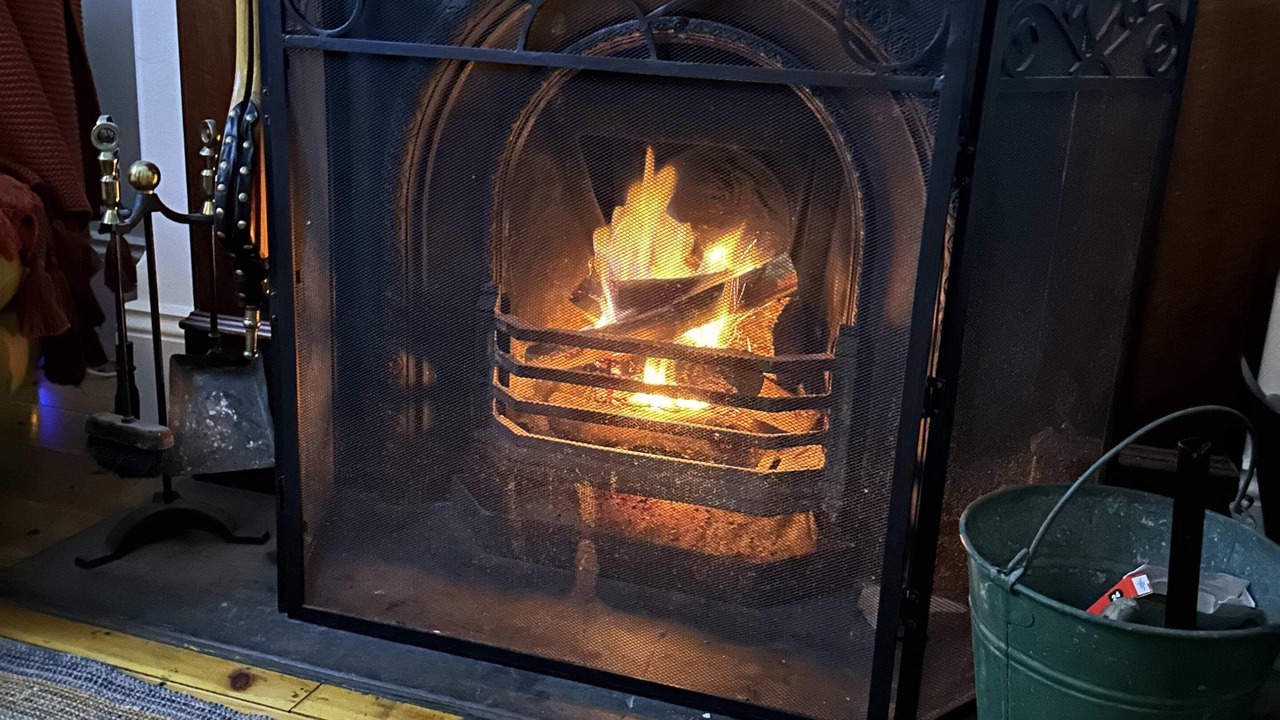 Photo of Others in Basket Range