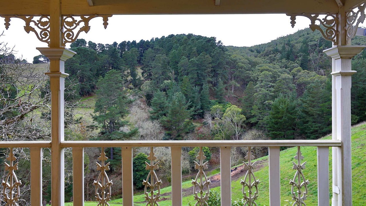 Photo of Outdoor in Basket Range