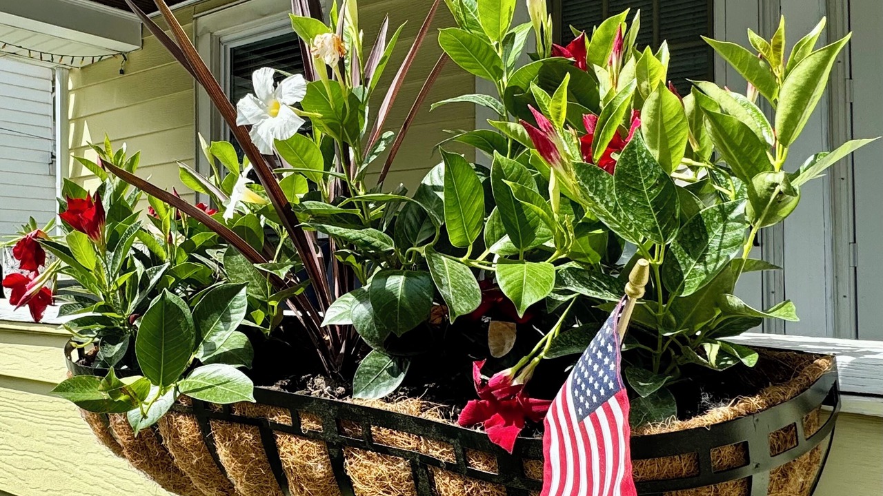 Photo of Outdoor in East Rochester