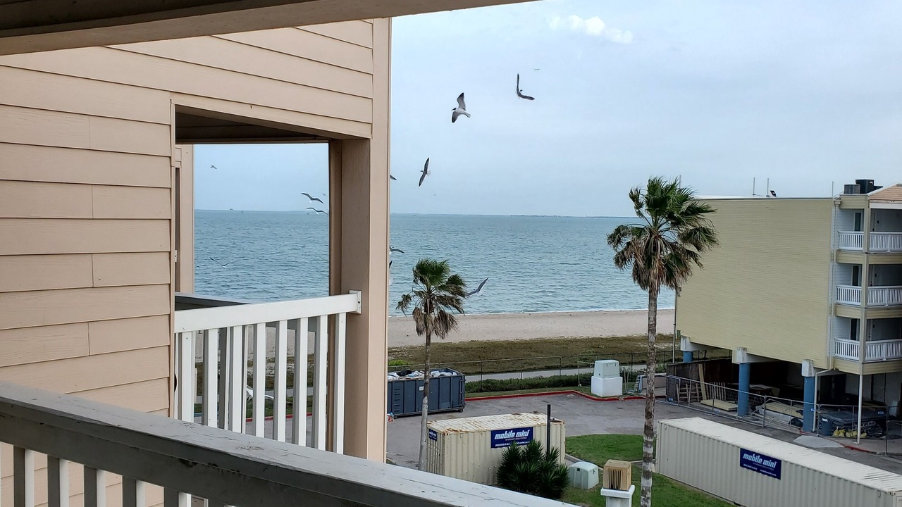 Photo of Outdoor in North Beach