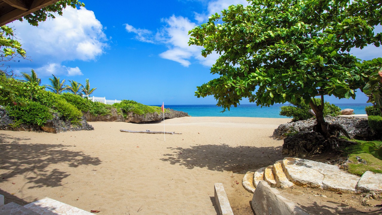Photo of Others in Playa Chiquita
