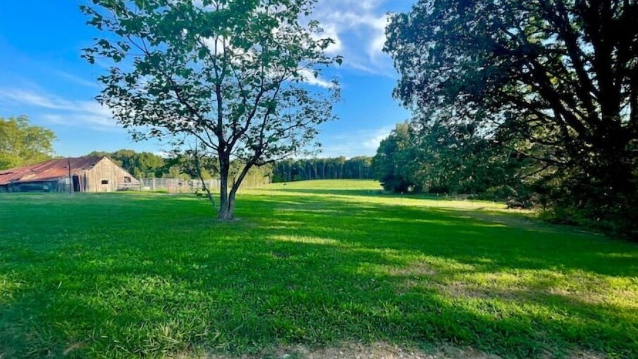 Photo of Outdoor in Dora