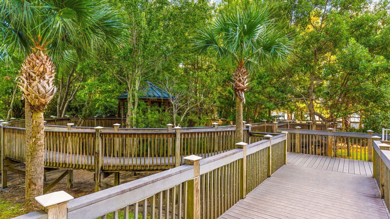 Photo of Outdoor in Florida Central Atlantic Coast