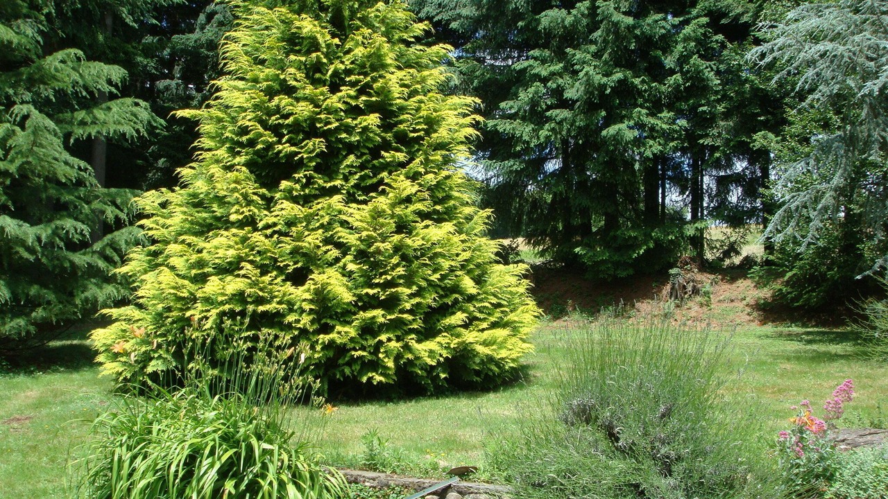 Photo of Outdoor in Saint-Amans-Valtoret