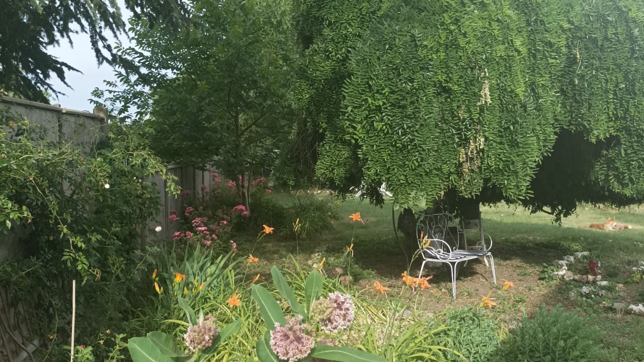 Photo of Outdoor in Donnemain-Saint-Mames