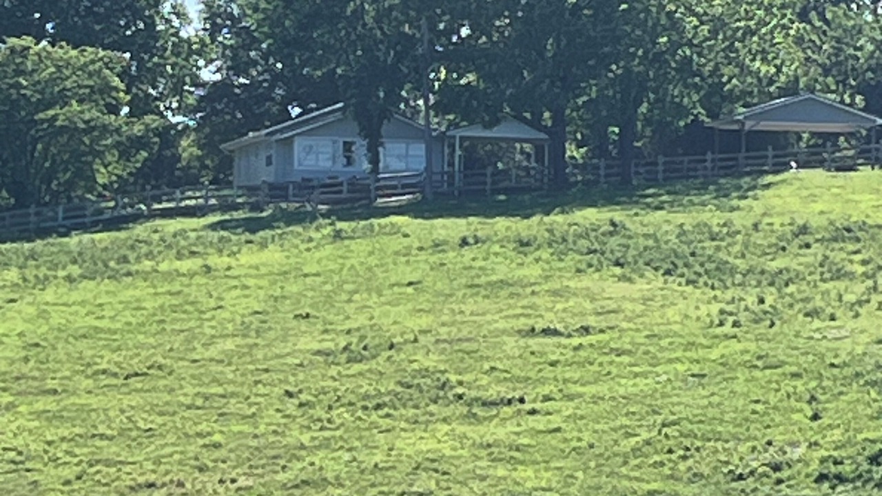 Photo of Others in Marshall
