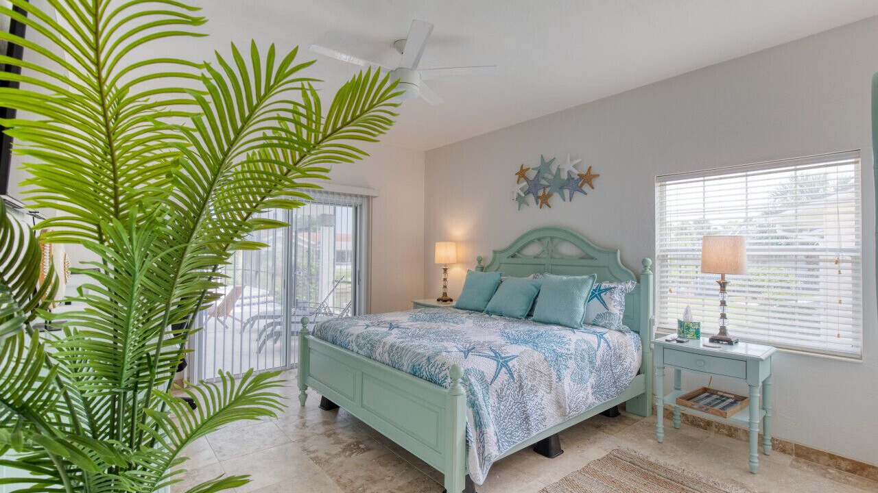 Photo of Others in Palm Harbor