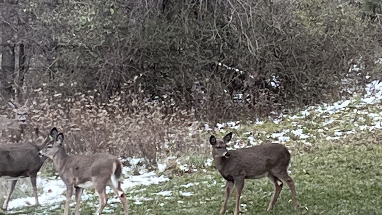 Photo of Others in Canandaigua