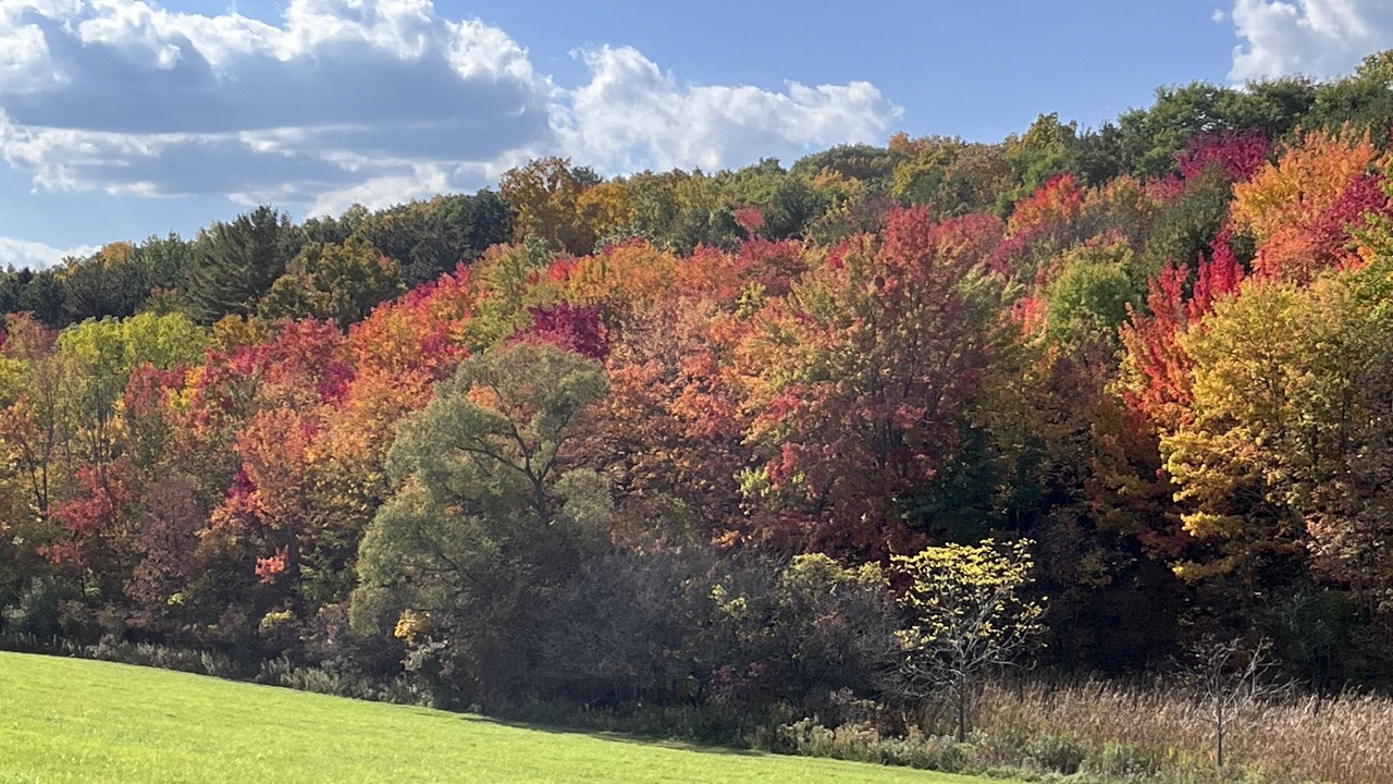 Photo of Outdoor in Canandaigua
